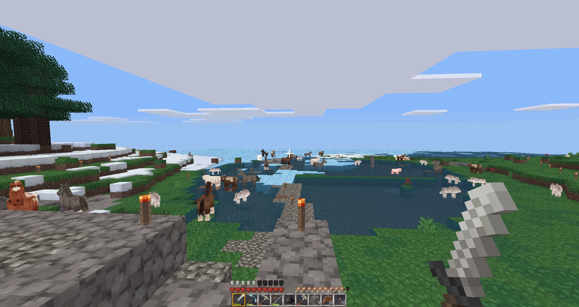 screenshot_20210111_194807.webp