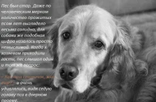 смелость.2.webp