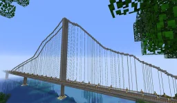 9.webp
