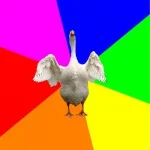 proxy.duckduckgo.com.webp