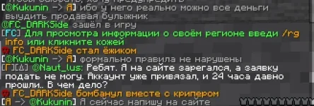 баг 2.webp