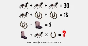 1200-6.webp 1200-6.webp