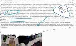 Annotation 2020-03-17 064811.webp
