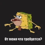 1786386778505.webp 1786386778505.webp