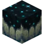 1656332261115.webp