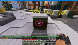 Minecraft_ 1.19.3 - Сетевая игра (сторонний сервер) 11.01.2023 19_06_04_LI (2).webp