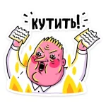 shkya-6.webp