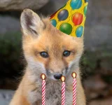 IMG_20230425_073917.webp