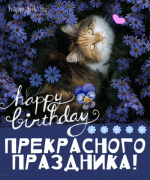 s-dr-devushke14.gif