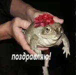 изображение_2023-06-16_003351539.webp
