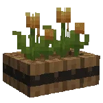 1689749878160.webp