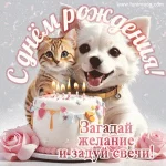 1704007173323.webp