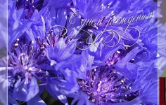 1724509932846.webp