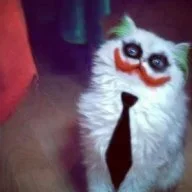 Murzik
