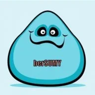 (berSUMY)