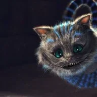 Anarchie