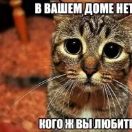 KoTyRaLubitVas