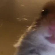BenzoShooter