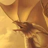 g0ldendrag0n