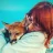 FoxMelis