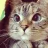 Mr_Grechka