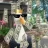 GooseKing1337