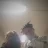 ProPandaMen