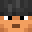 NCXI_Denis10