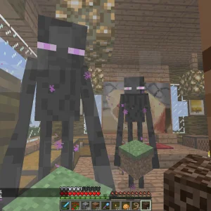 Игор и друг (2)