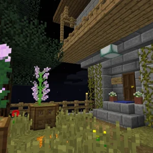 House III - 008 House - Entrance.png