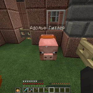 Свинка адольф