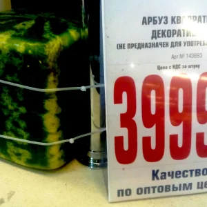 А кому квадратные арбузы! Подходи! Налетай! Не скупись!