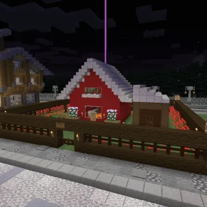 2021-03-09_02.28.26_r
