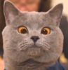 2018-09-04 (2).png