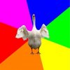 proxy.duckduckgo.com.jpg proxy.duckduckgo.com.jpg