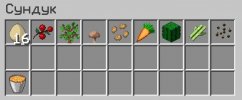 chest.jpg