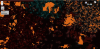 1622640231732.png