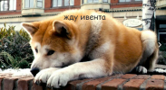 1684556456740.png