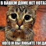 KoTyRaLubitVas