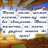 Владелец