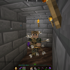 I used to be an adventurer like you, then I took an arrow in the knee
