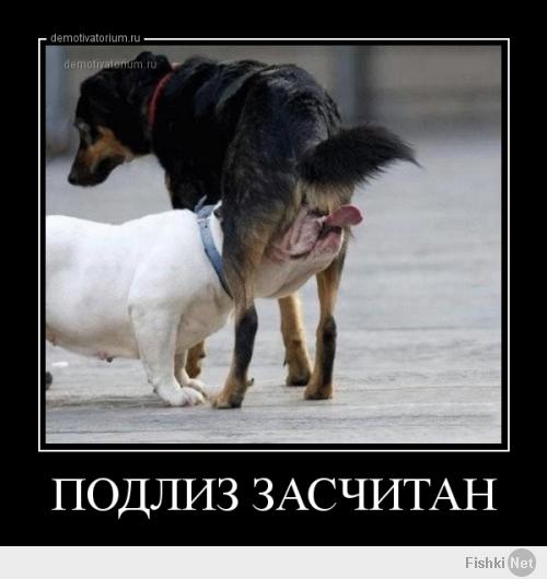 afa1aaeb22326d79873eae455b2cedeb.jpg