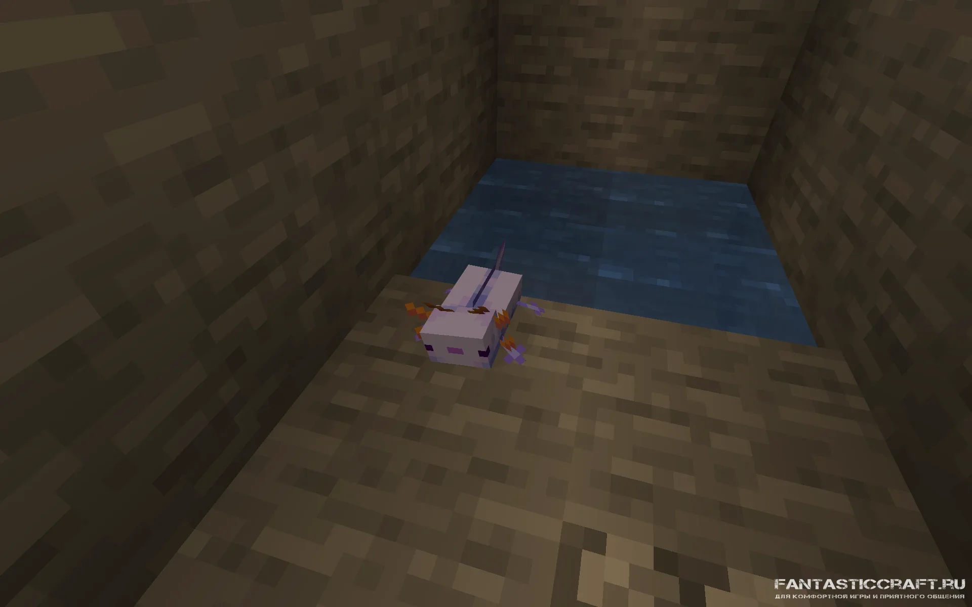 2021-07-07_17.53.49.png