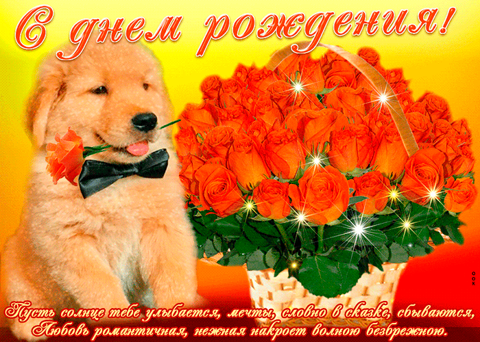 s-dnem-rozhdeniya-zhenshchine-tsvety-14669.gif