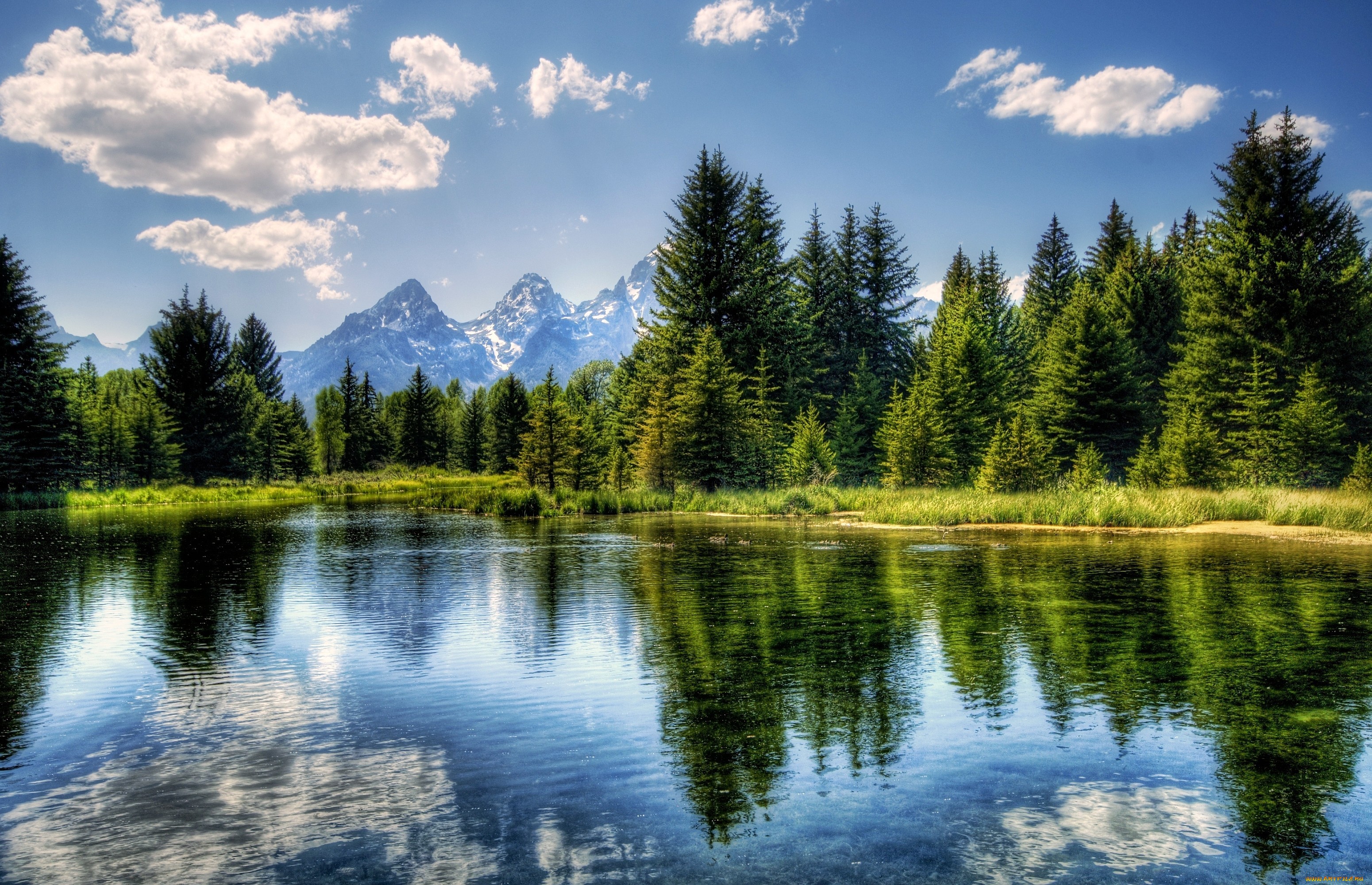 3100x2000_594472_[www.ArtFile.ru].jpg