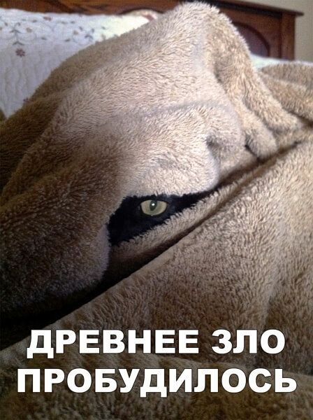 UID1445376_1605143814_78.jpg