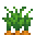 :mc_carrots: