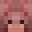 :mc_mob_armadillo_face: